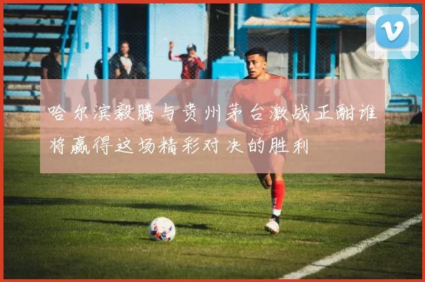 哈尔滨毅腾与贵州茅台激战正酣谁将赢得这场精彩对决的胜利