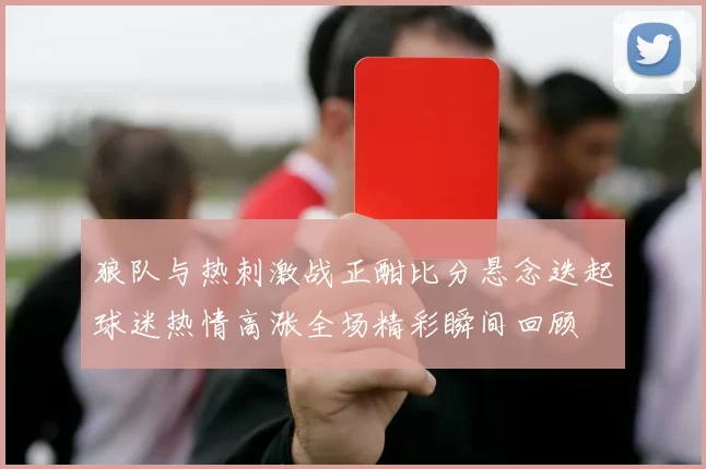 狼队与热刺激战正酣比分悬念迭起球迷热情高涨全场精彩瞬间回顾