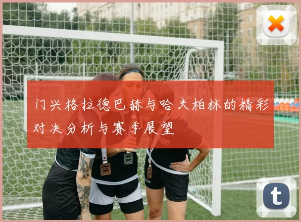 门兴格拉德巴赫与哈夫柏林的精彩对决分析与赛季展望