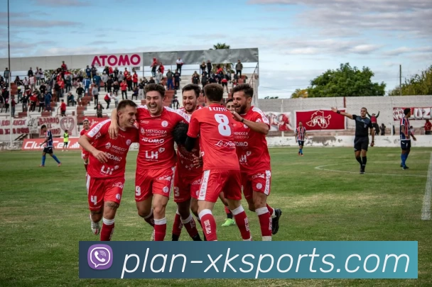 XK星空体育平台生态图